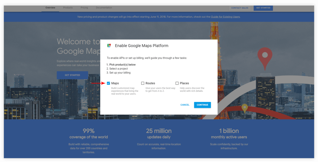 Google Map API