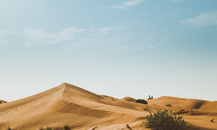 Africa Sand Dunes