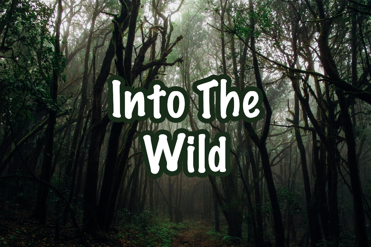into-the-wild