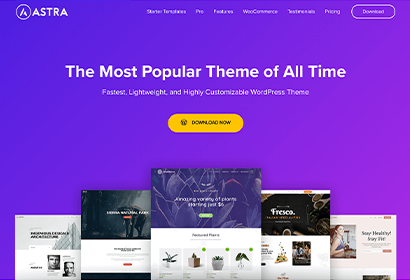 Astra Pricing Theme