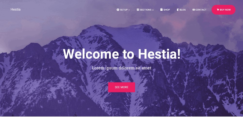 Hestia WordPress theme