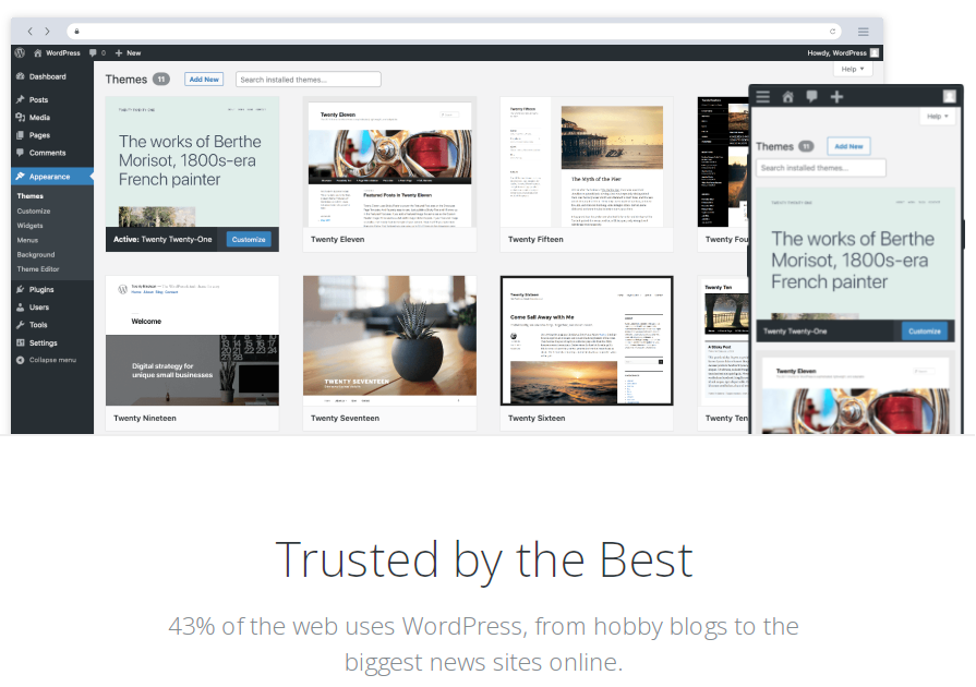 WordPress is the most popular CMS