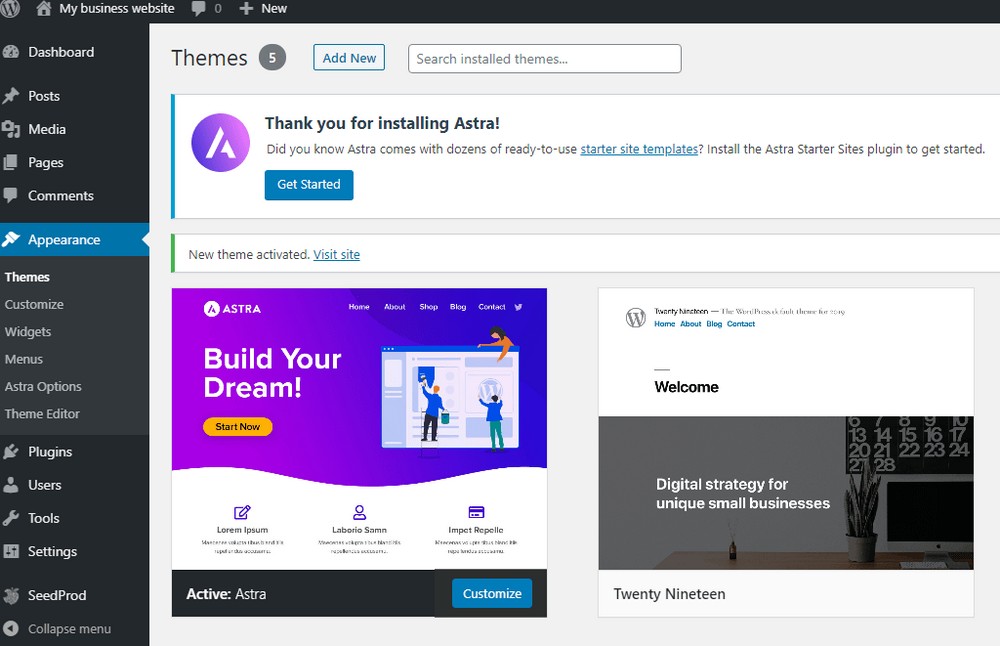 View of Astra theme installed and active
